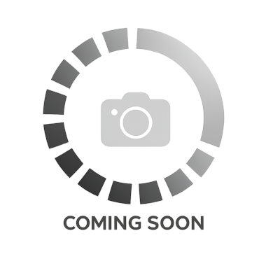 ECOFLOW PowerInsight